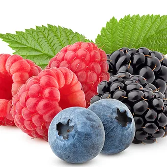 Children’s Honey with Berries 250g – Boost Immunity & Health - Image 2