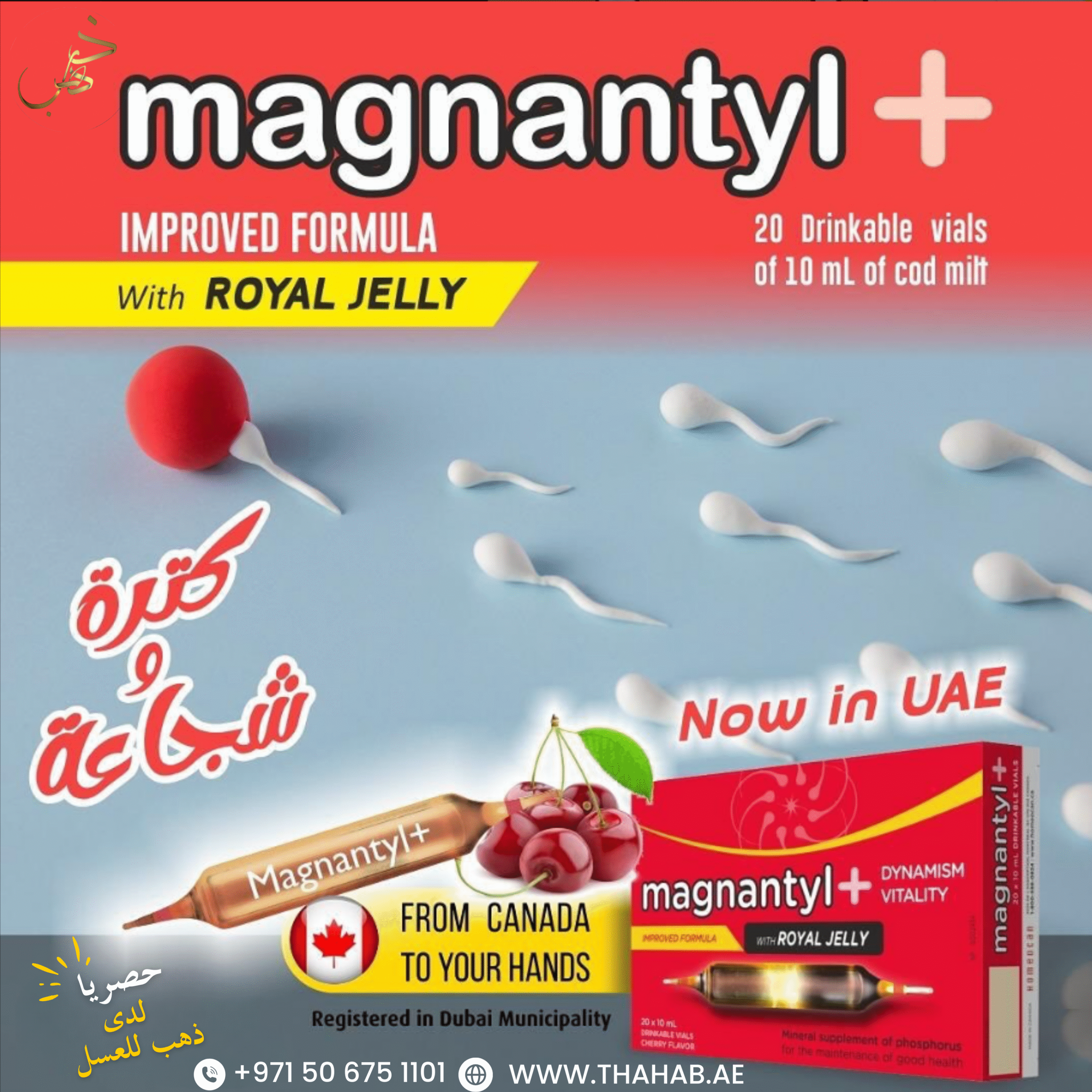 Magnantyl Plus – Your Daily Boost for a Healthy & Balanced Life